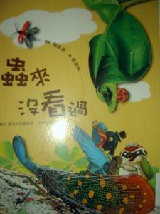 認證書目