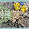 認證書目
